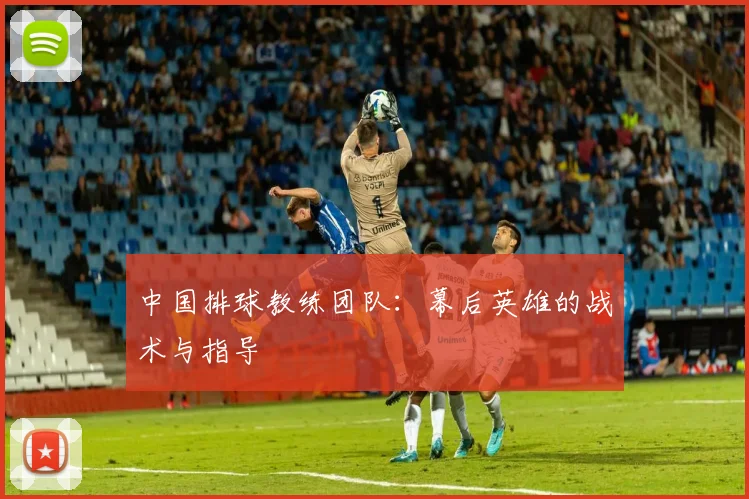 中国排球教练团队：幕后英雄的战术与指导
